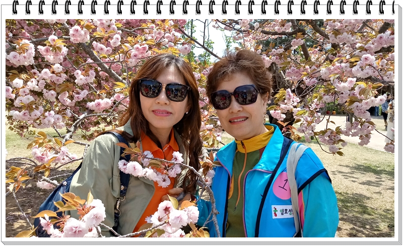 20190422_120432_HDR.jpg