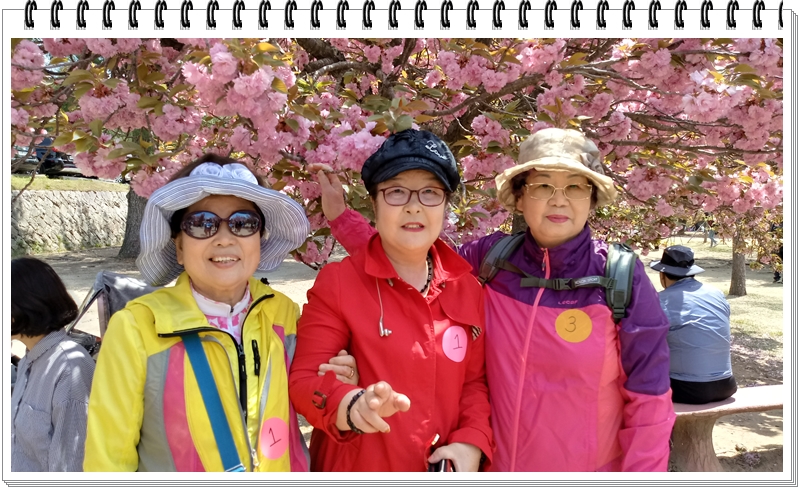 20190422_120250_HDR.jpg