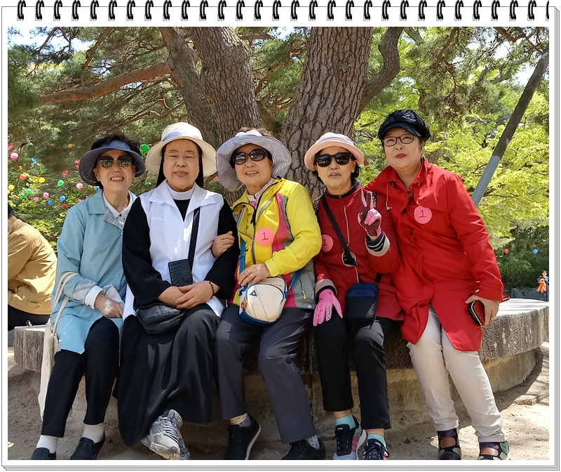 20190422_114203_HDR-1.jpg