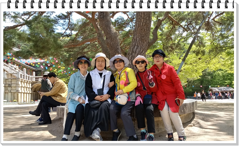 20190422_114203_HDR.jpg