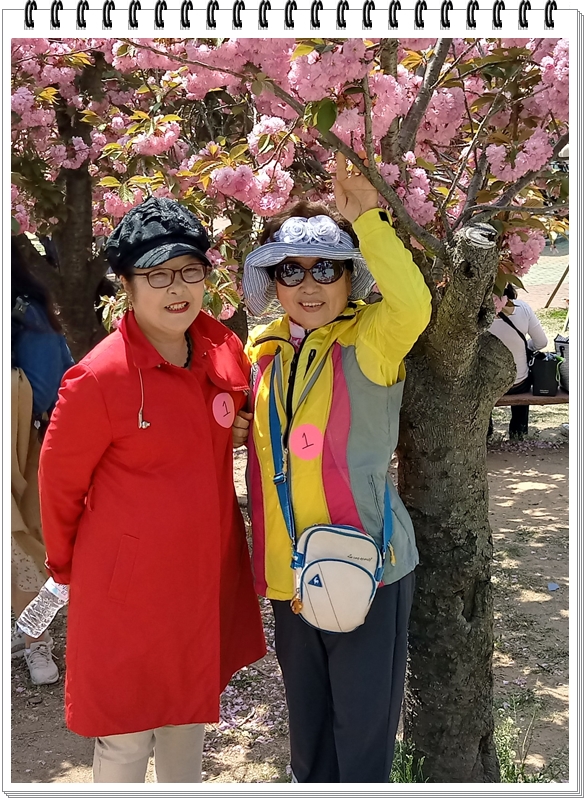 20190422_120100_HDR-1.jpg