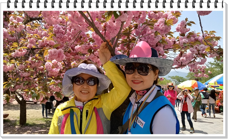 20190422_120124_HDR.jpg