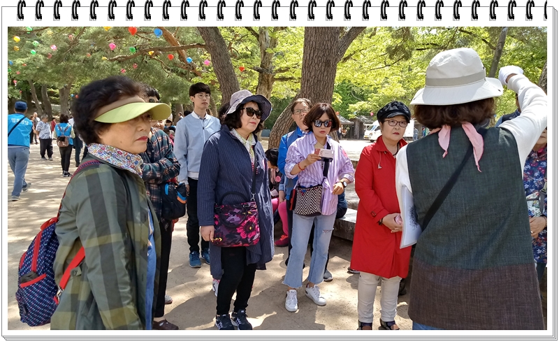 20190422_110630_HDR.jpg