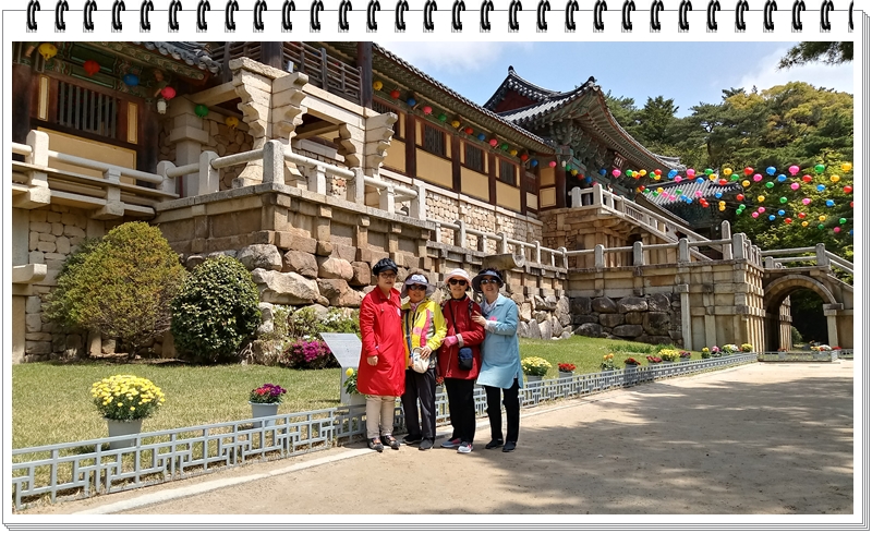 20190422_113645_HDR.jpg