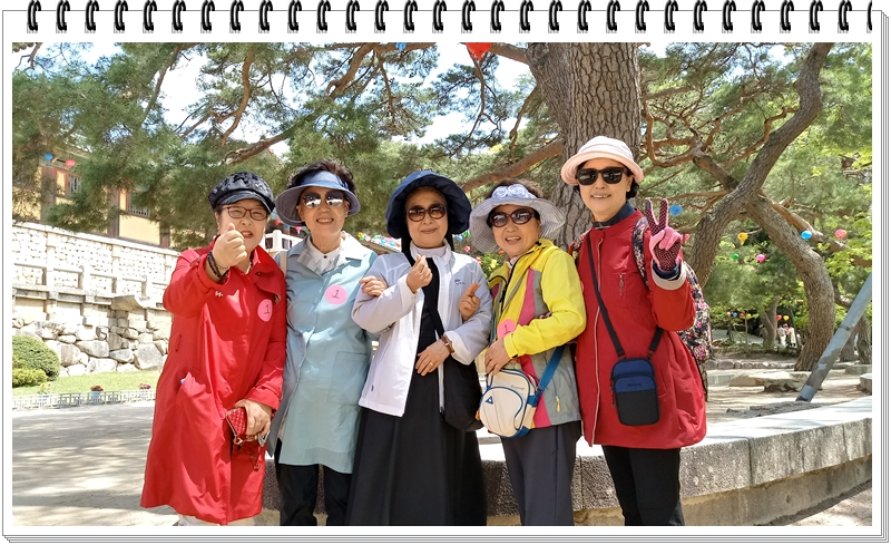 20190422_114403_HDR.jpg