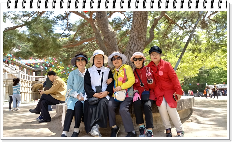 20190422_114212_HDR.jpg