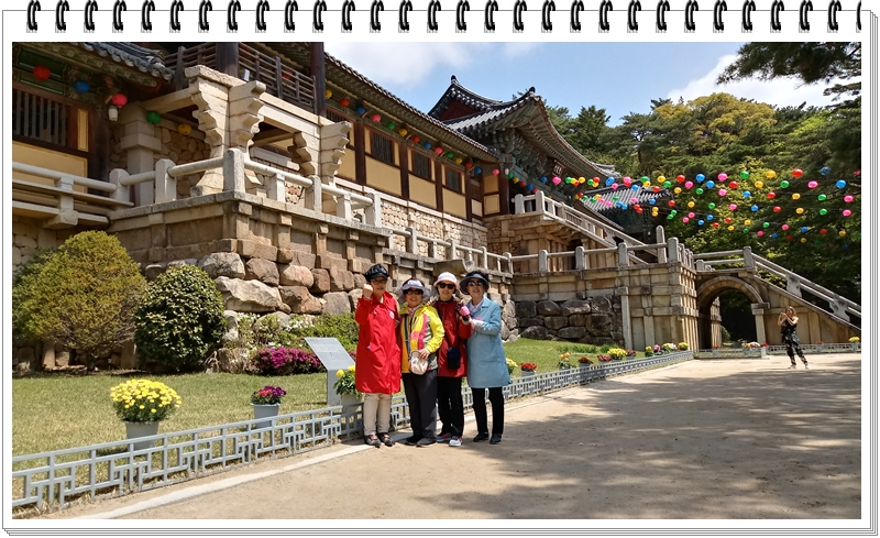 20190422_113625_HDR.jpg
