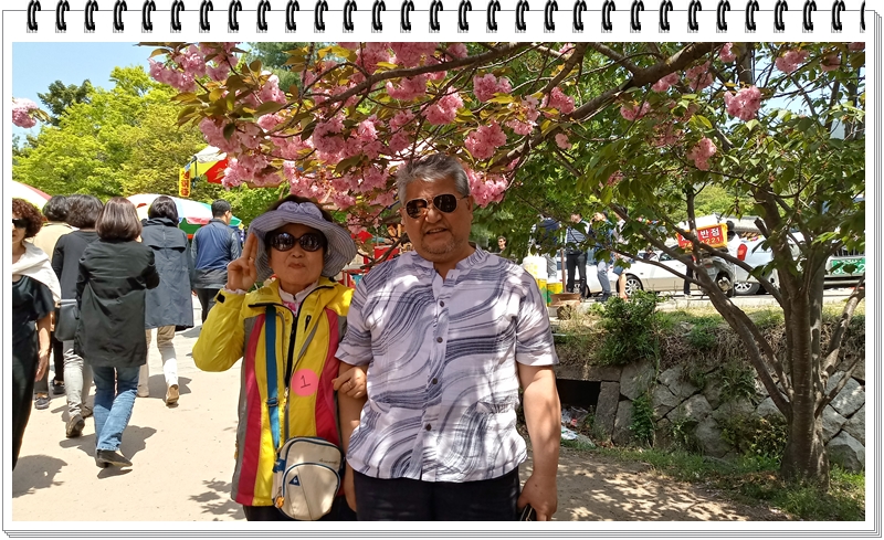 20190422_120201_HDR.jpg