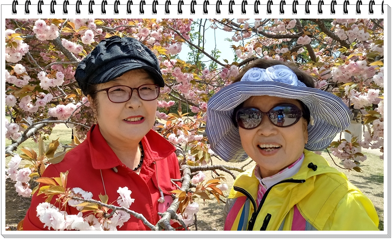 20190422_120409_HDR.jpg
