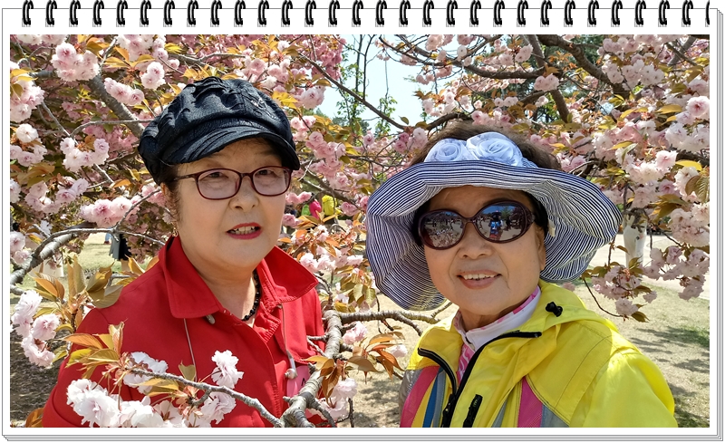 20190422_120403_HDR.jpg