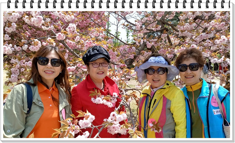 20190422_120422_HDR.jpg