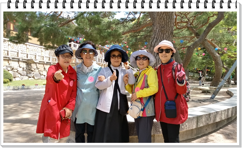 20190422_114409_HDR.jpg