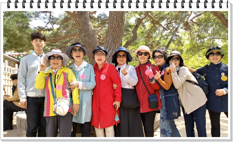 20190422_114502_HDR.jpg