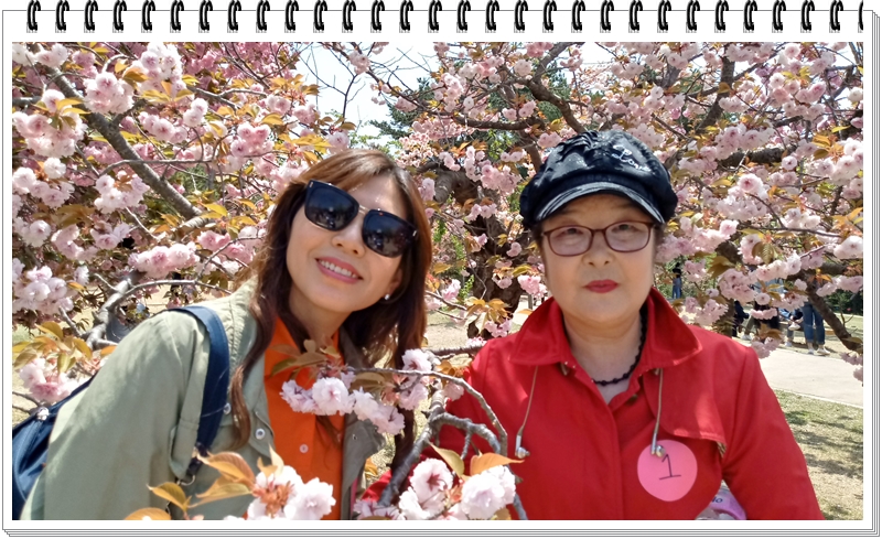 20190422_120444_HDR.jpg