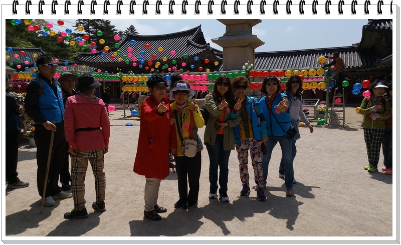 20190422_113023_HDR.jpg