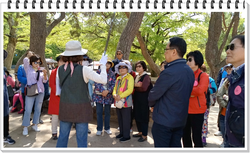 20190422_110619_HDR.jpg