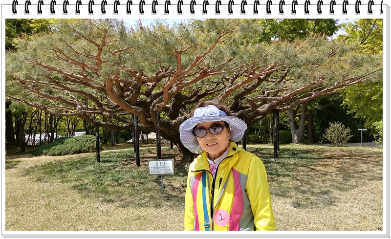 20190422_115804_HDR.jpg