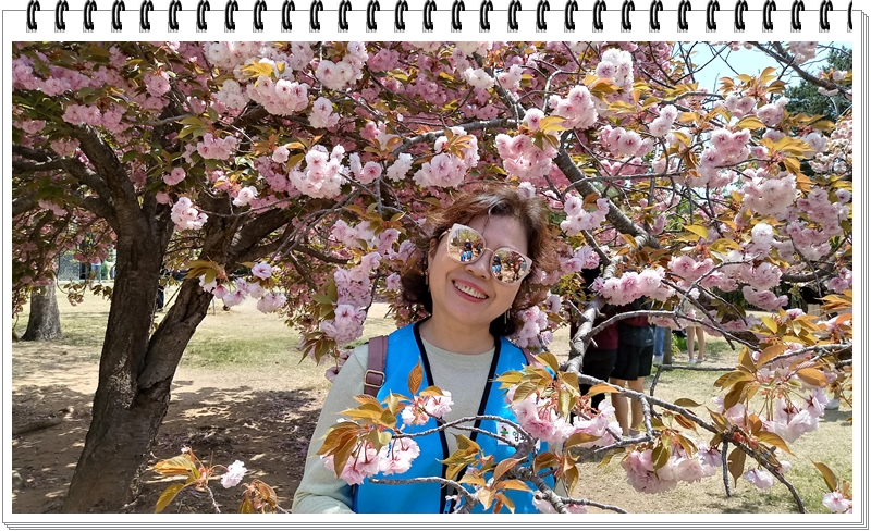 20190422_120509_HDR.jpg