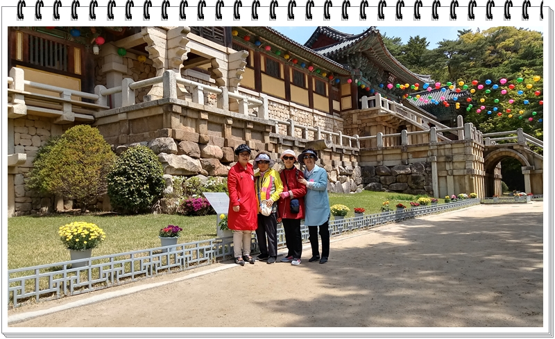 20190422_113640_HDR.jpg