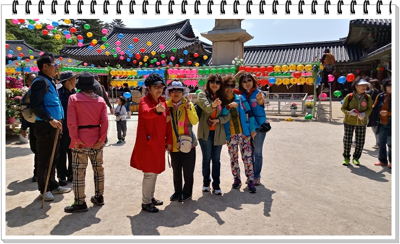 20190422_113020_HDR.jpg