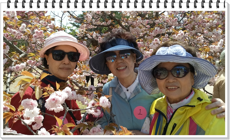 20190422_120458_HDR.jpg
