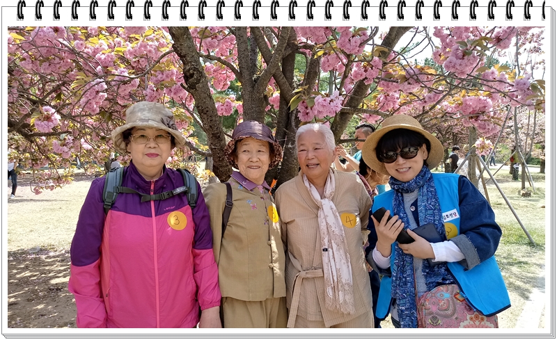 20190422_120320_HDR.jpg