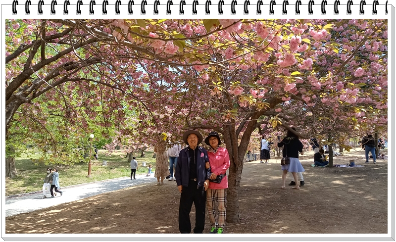 20190422_120839_HDR.jpg