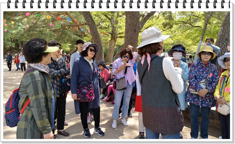 20190422_110625_HDR.jpg