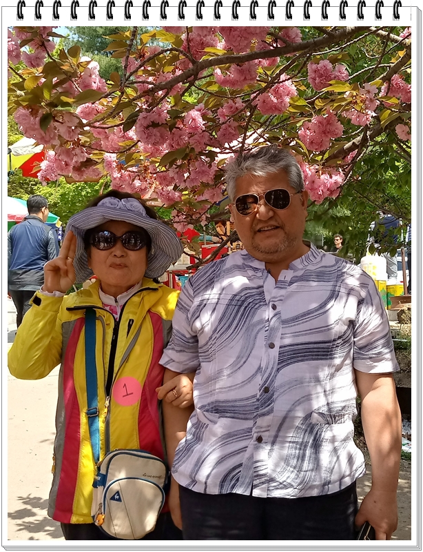 20190422_120201_HDR-1.jpg