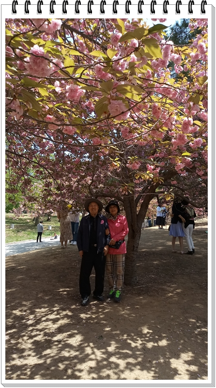 20190422_120843_HDR.jpg