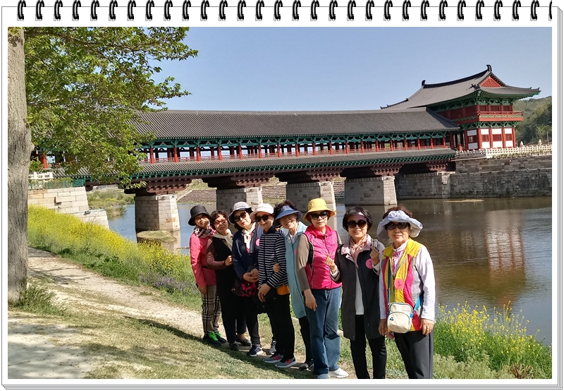 20190422_152944_HDR-1.jpg