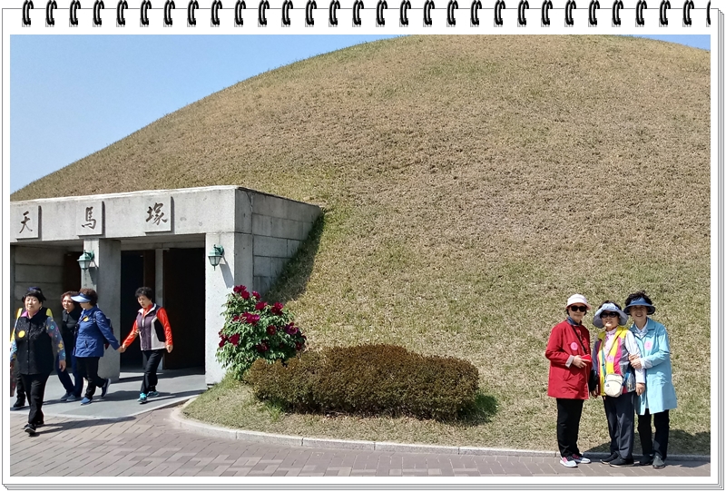 20190422_141137_HDR-1.jpg