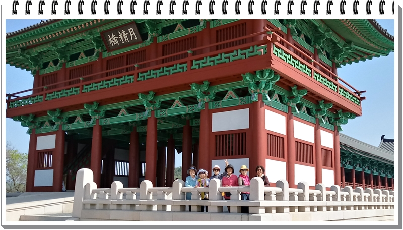 20190422_153340_HDR-1.jpg