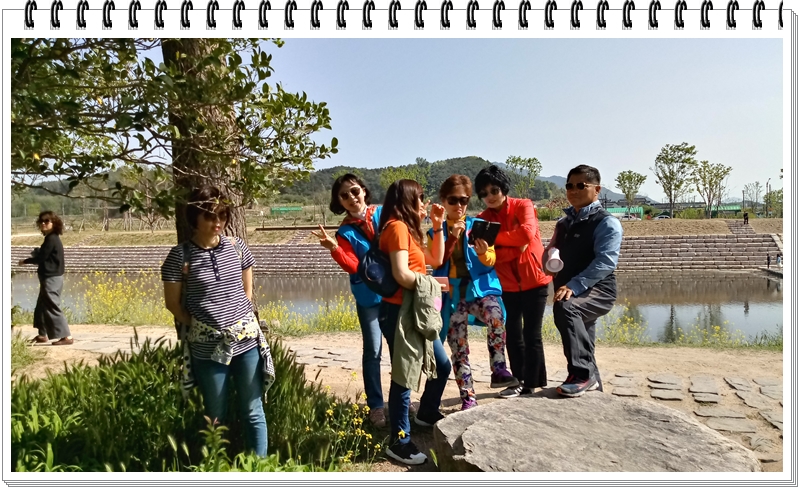 20190422_152040_HDR.jpg