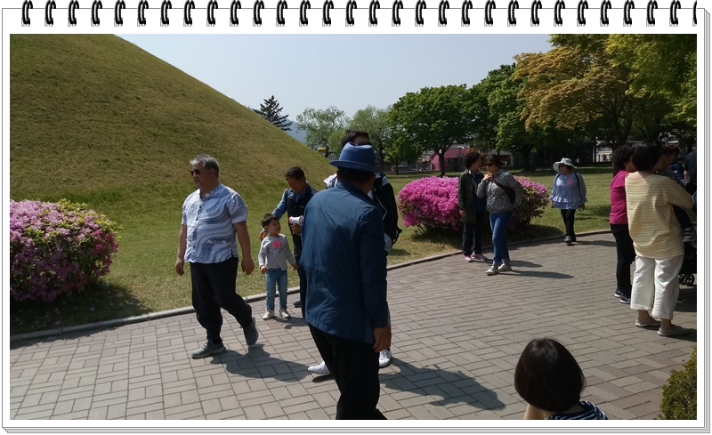 20190422_134643_HDR.jpg