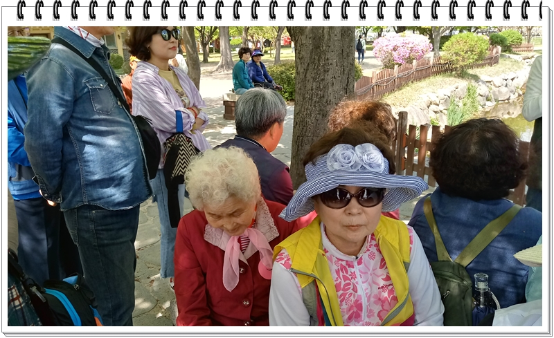 20190422_134853_HDR.jpg