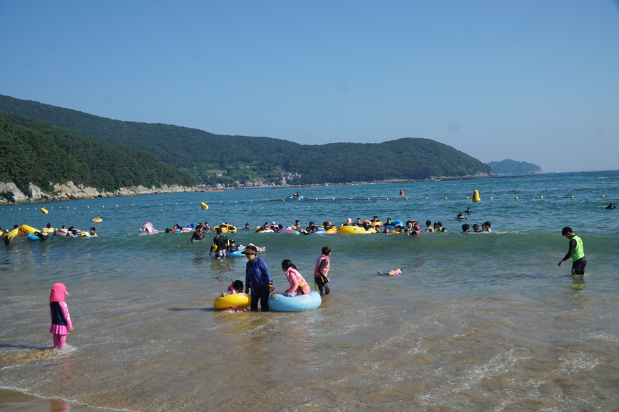 DSC01177.jpg