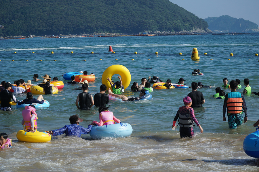 DSC01174.jpg