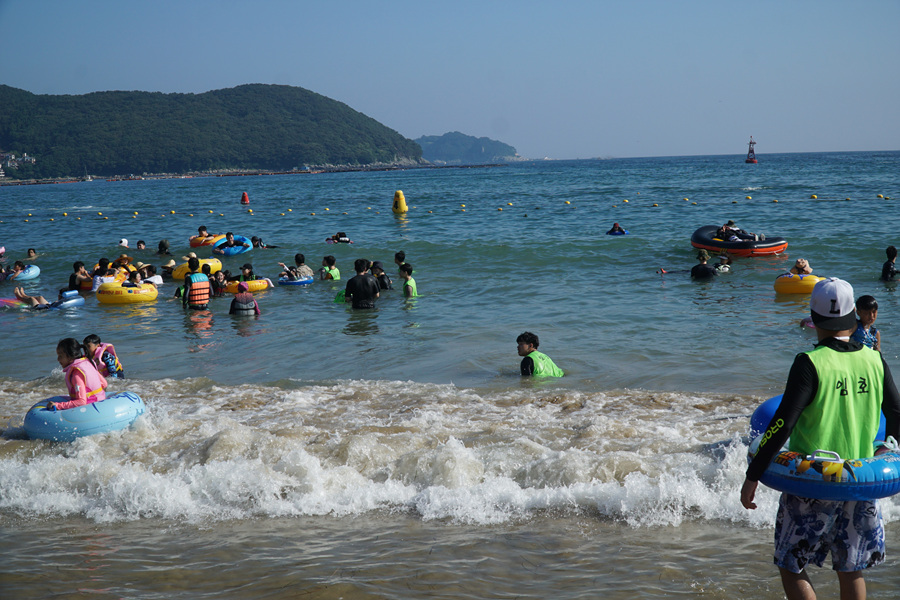 DSC01178.jpg
