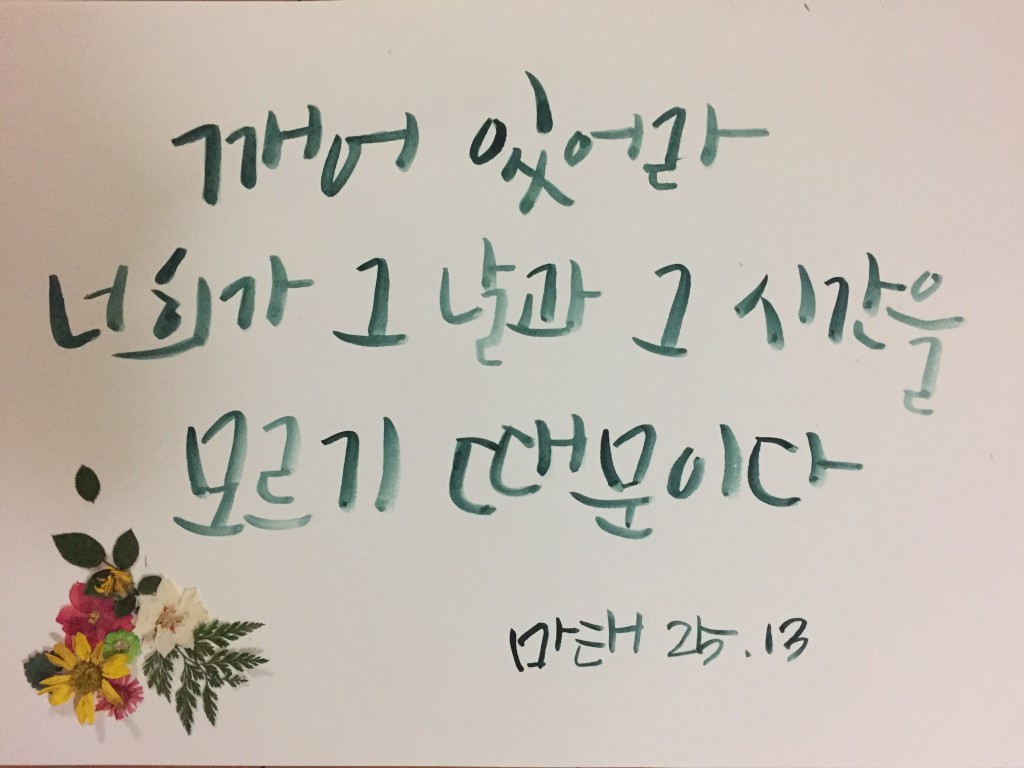 1510356026126.jpg