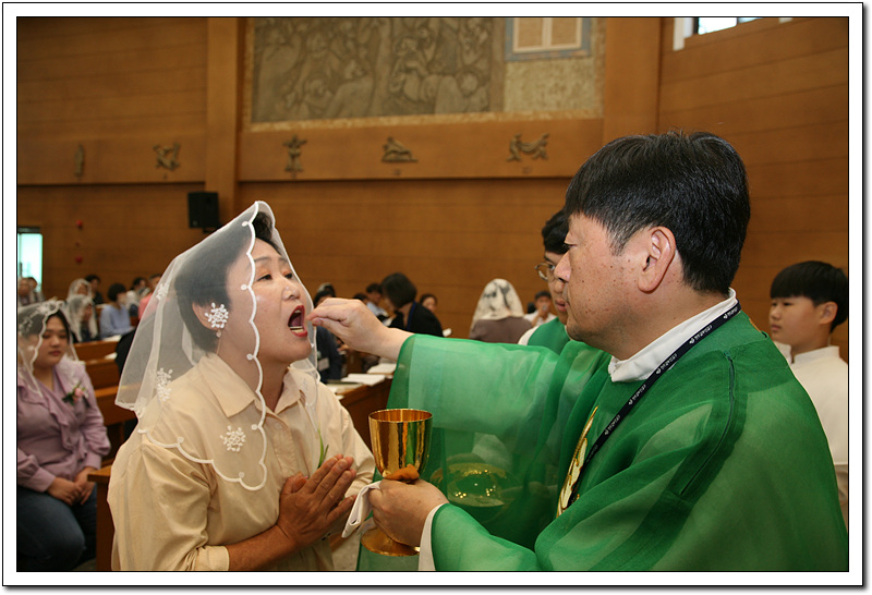 IMG_3445.jpg