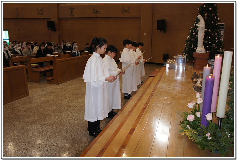 DSC09420.jpg