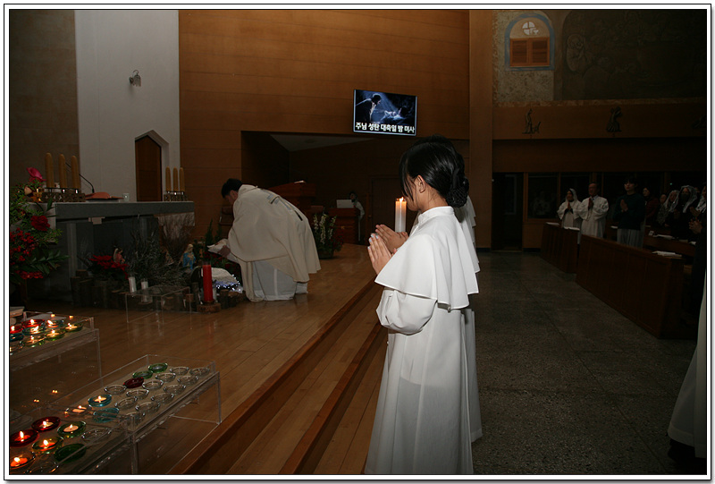 IMG_2481.jpg