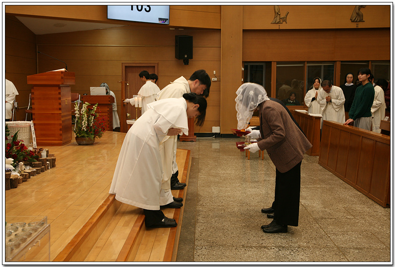 IMG_2515.jpg