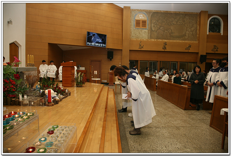 IMG_2495.jpg