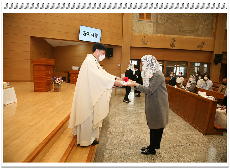 IMG_8864.jpg