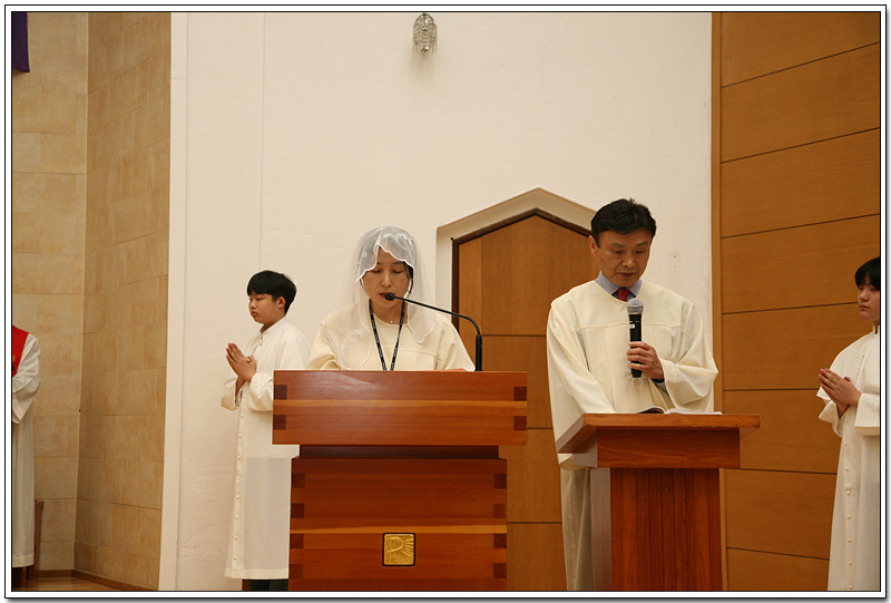 IMG_2827.jpg