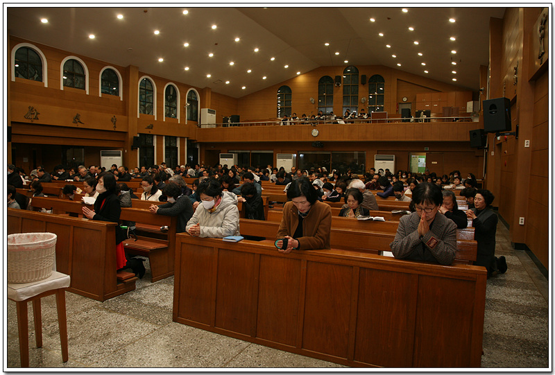 IMG_2820.jpg