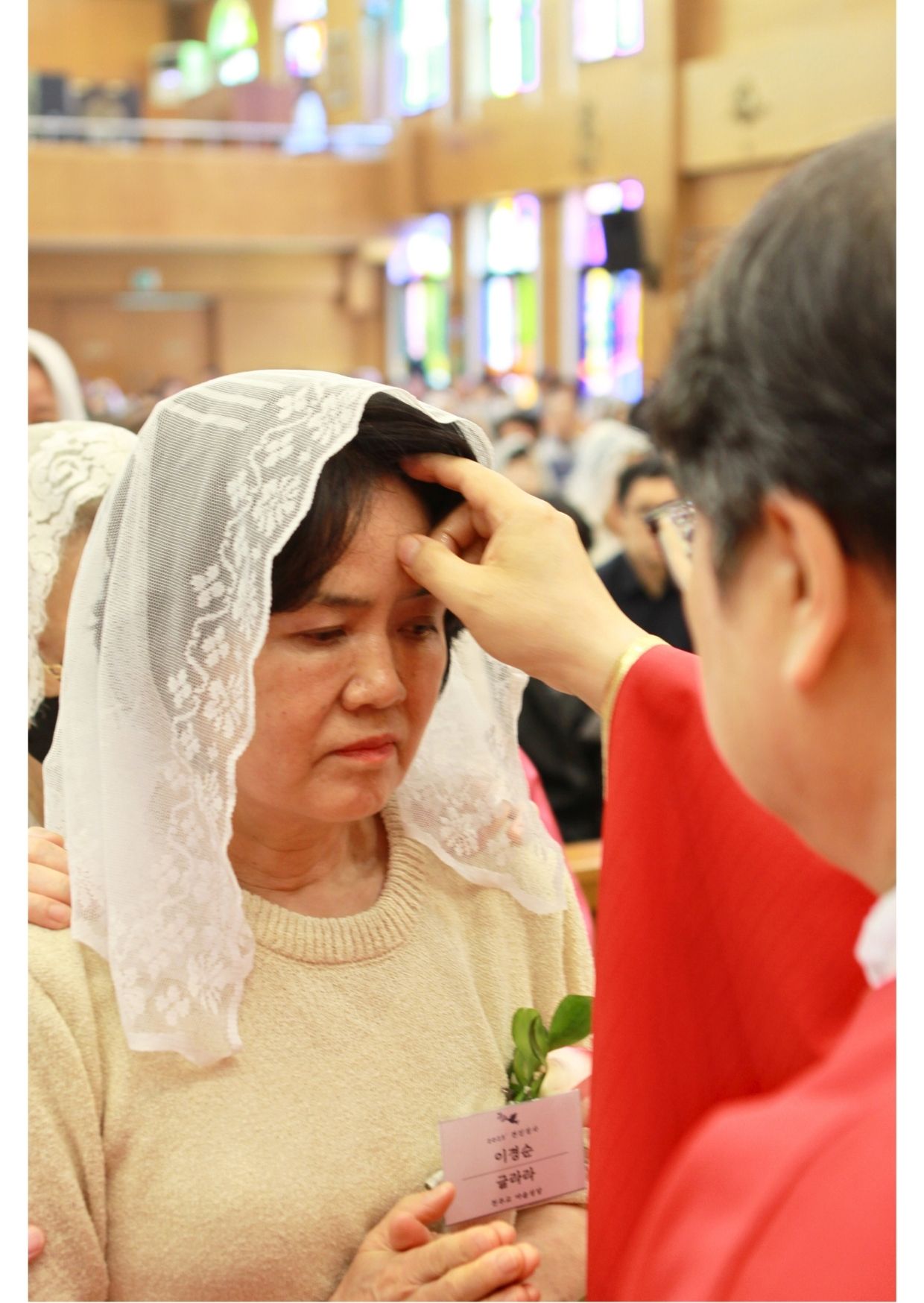 견진28.jpg