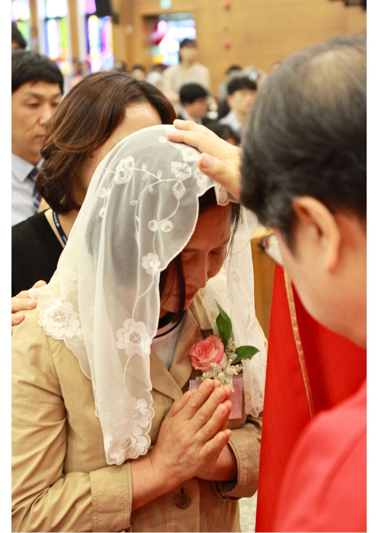 견진2.jpg